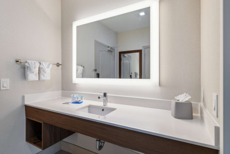 Holiday Inn Express & Suites Mountain View Silicon Valley - Bathroom