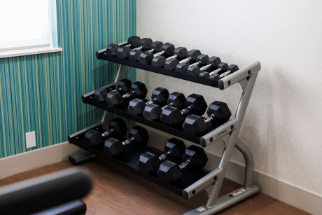 Holiday Inn Express & Suites Mountain View Silicon Valley - Gym